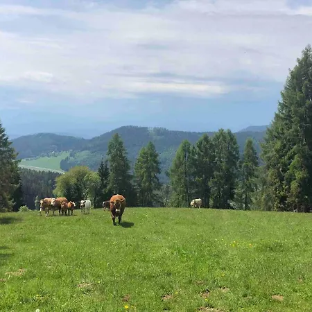 Tschetsch Huette Apartman *