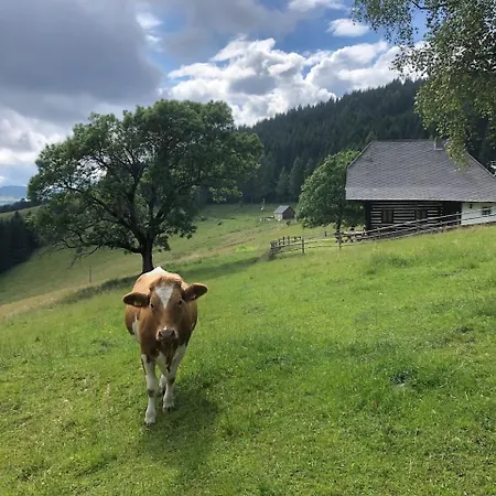 Apartman Tschetsch Huette *